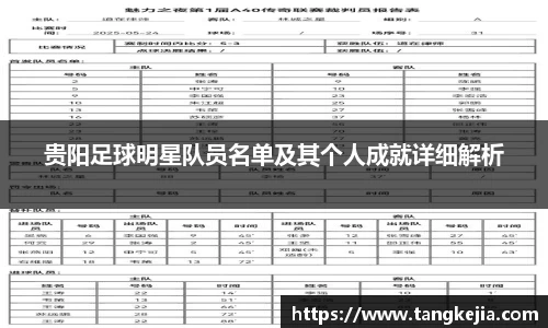 贵阳足球明星队员名单及其个人成就详细解析