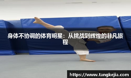 emc易倍