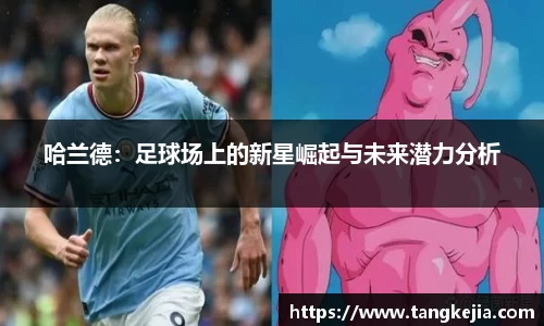 哈兰德：足球场上的新星崛起与未来潜力分析