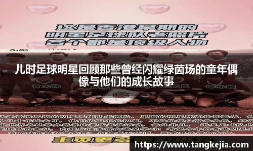emc易倍