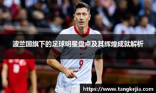 波兰国旗下的足球明星盘点及其辉煌成就解析