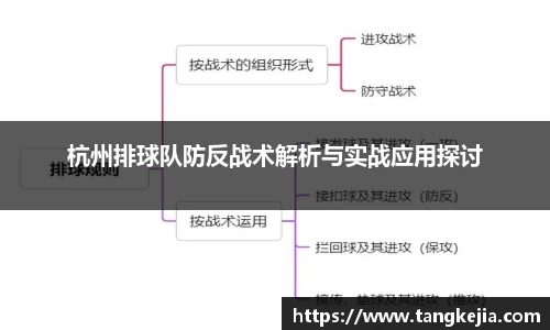 杭州排球队防反战术解析与实战应用探讨