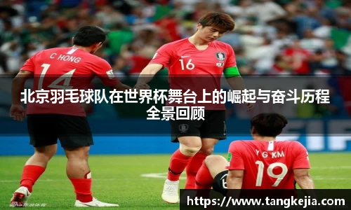 北京羽毛球队在世界杯舞台上的崛起与奋斗历程全景回顾