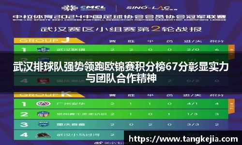 武汉排球队强势领跑欧锦赛积分榜67分彰显实力与团队合作精神